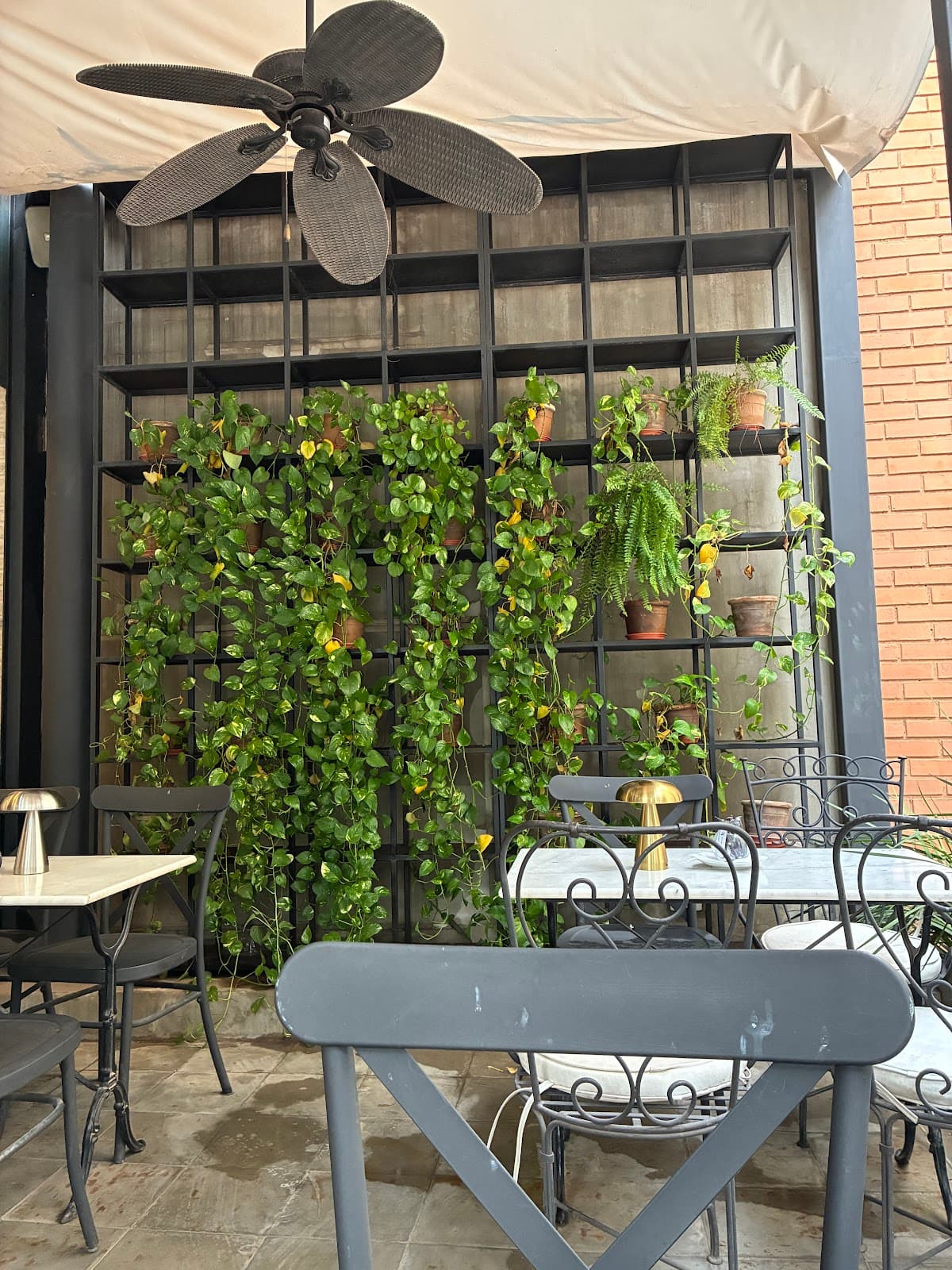 TR Cafe Cotidiano - Shopping del Sol