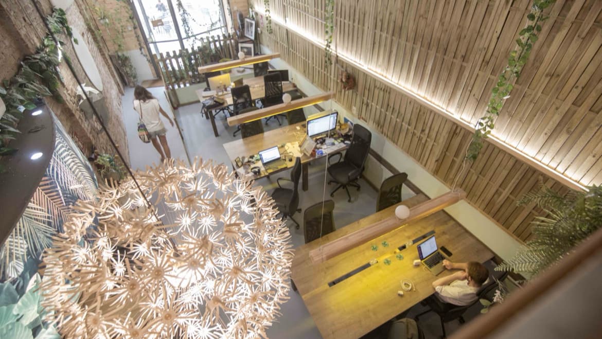 Jungle Coworking - Coworking creativo en Poble Nou, Barcelona
