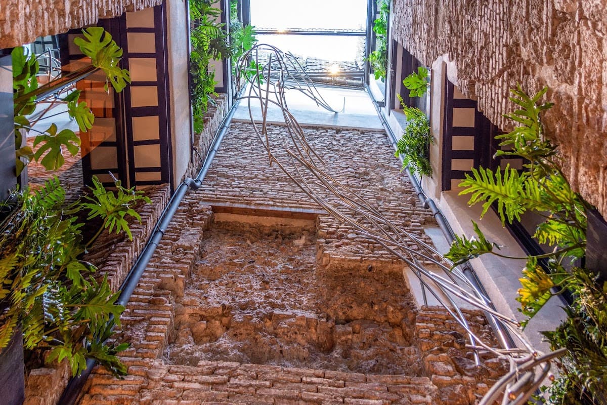Coeo Despertar Signature Apartments