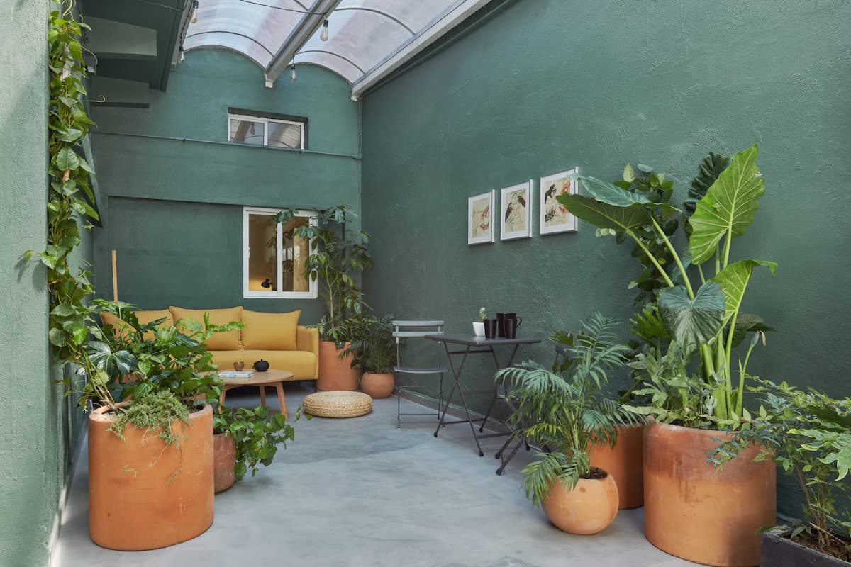 Covive: Coliving Condesa CDMX - Casa Amatlán